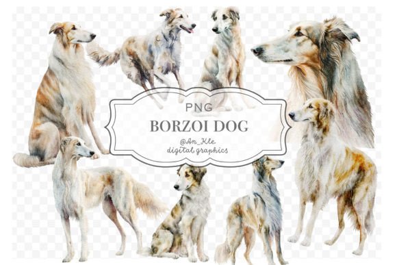 Borzoi Dog Lurcher Watercolour Illustrations Review