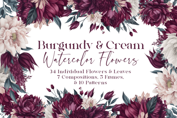 Burgundy and Cream Watercolor Flowers Illustrations
