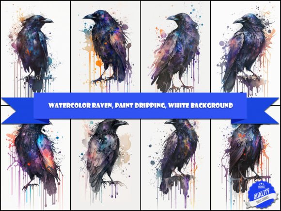 Crow in the White Background: Watercolor Illustrations