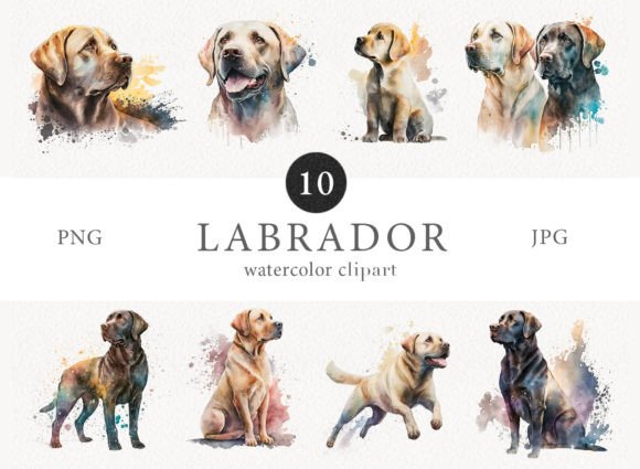 Labrador Watercolor Clipart Set Illustrations Review
