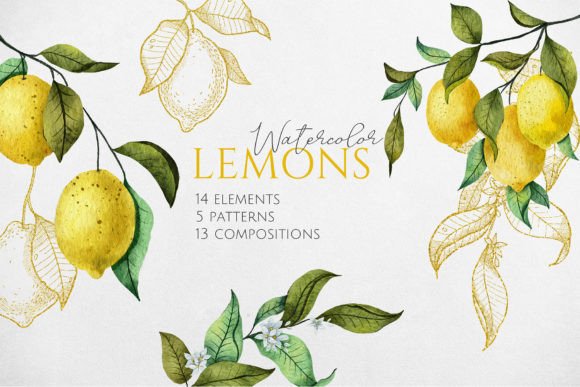Lemons Watercolor Collection: Illustrations for Branding