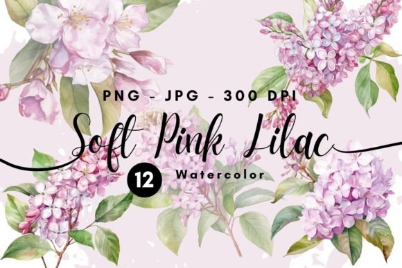 Pink Lilac Flowers Watercolor Clipart Illustrations