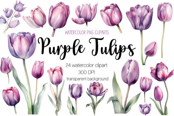 Purple Watercolor Tulip Clipart Bundle: Editorial Illustrations