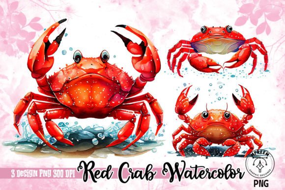 Red Crab Watercolor Sublimation Clipart Illustrations