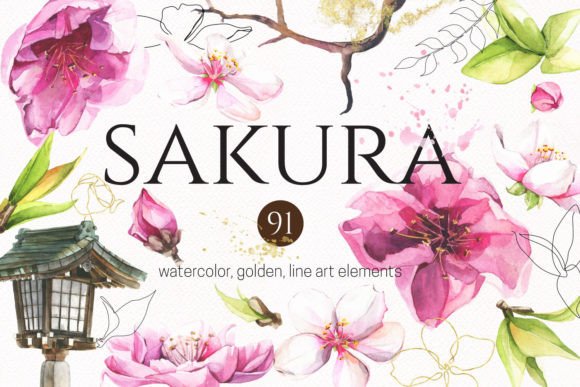 Sakura PNG Watercolor: An Embroidery Designer’s Review