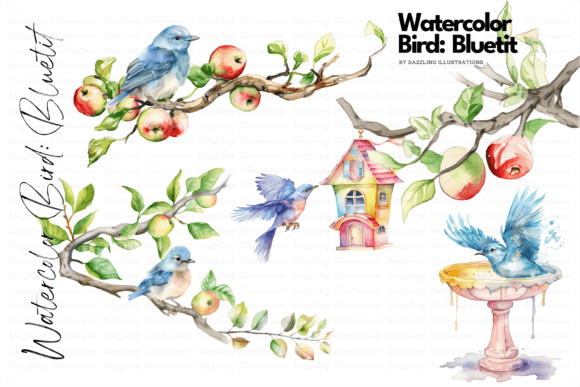 Watercolor Bird Bluetit Garden Set Review