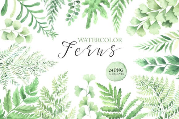 Watercolor Fern Green Leaves Illustrations for Editorial
