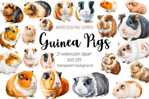 Watercolor Guinea Pig Clipart Bundle: Editorial Illustrations