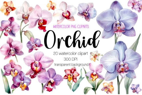 Watercolor Orchid Illustrations for Editorial Design