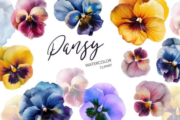 Watercolor Pansy Clipart for Editorial Illustrations