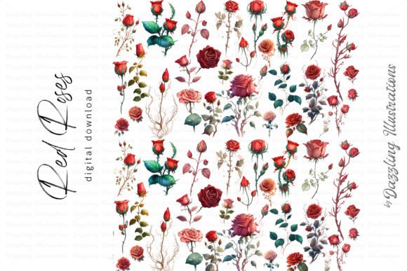 Watercolor Red Roses Illustrations for Commercial Use
