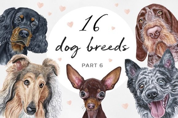 Watercolor Set 16 Dog Breeds Illustrations Review