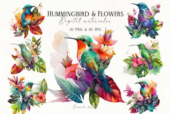 Watercolor Tropical Hummingbirds Illustrations Review